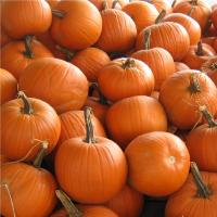Big Max Squash