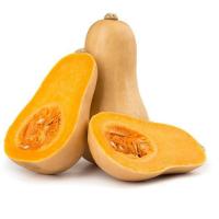 Butternut  Orta Bal Kabağı