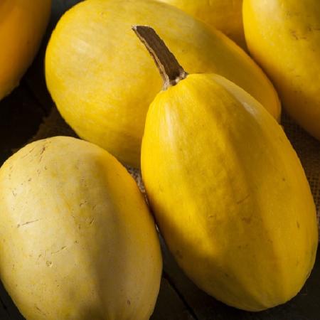 Spagetti Squash