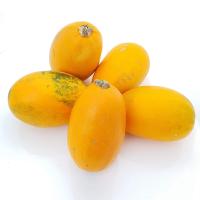 Spagetti Squash