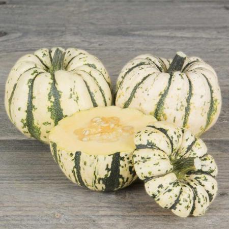 Sweet Dumpling Squash